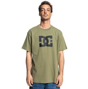 Dc pánské tričko Shoes Star Hss Deep Lichen Green | Zelená | Velikost L