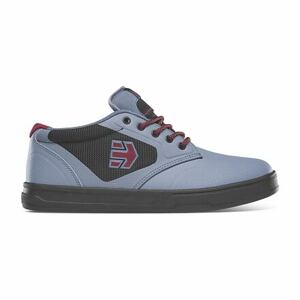 Etnies pánské boty Semenuk Pro Grey/Black | Šedá | Velikost 11 US