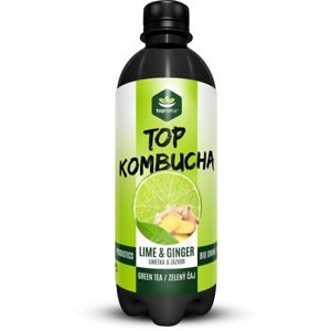 TOPNATUR TOP KOMBUCHA 500 ML LIMETKA - ZÁZVOR Kombucha, , velikost