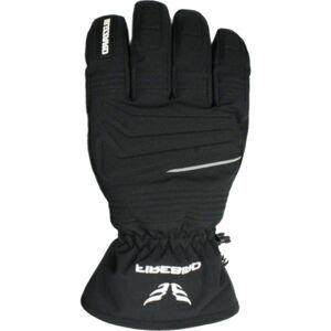 Blizzard FIREBIRD SKI GLOVES Rukavice, černá, veľkosť 10