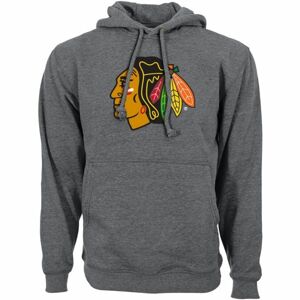 Levelwear CORE LOGO HOOD CHI Pánská mikina, šedá, veľkosť XL