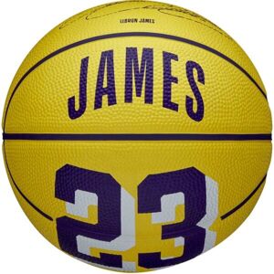 Wilson NBA PLAYER ICON MINI LEBRON Mini basketbalový míč, žlutá, velikost