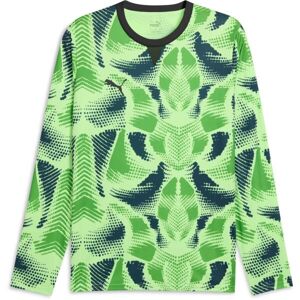 Puma TEAMTARGET GL LS JERSEY Pánský brankářský dres, zelená, velikost