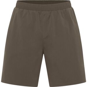 Jack Wolfskin WAGAMI M Pánské šortky, hnědá, velikost