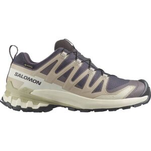 Salomon XA PRO 3D V9 GTX W Dámská obuv na trailový běh, béžová, velikost 40 2/3
