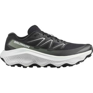 Salomon ULTRA FLOW 2 Pánská obuv na trailový běh, černá, velikost 46
