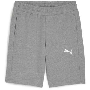 Puma TEAMGOAL CASUALS SHORTS Pánské kraťasy, šedá, velikost