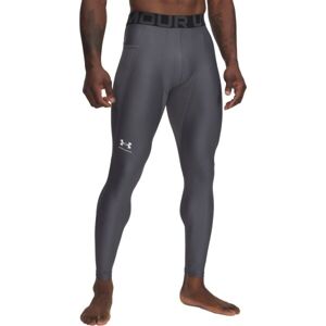Under Armour HEATGEAR ARMOUR LEGGINGS Pánské legíny, tmavě šedá, velikost L