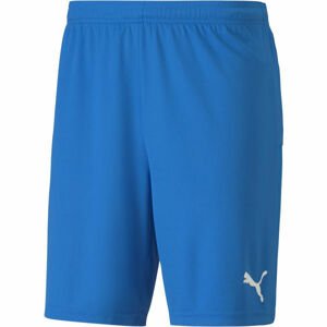 Puma TEAM GOAL 23 KNIT SHORTS Pánské šortky, modrá, velikost S