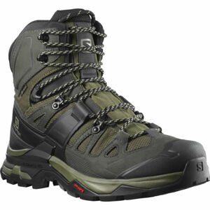 Salomon QUEST 4 GTX Pánská treková obuv, khaki, velikost 45 1/3