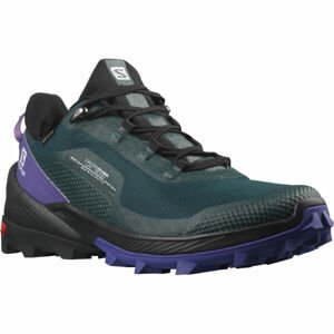 Salomon CROSS OVER GTX W Dámská turistická obuv, černá, velikost 36 2/3