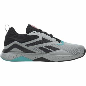 Reebok NANOFLEX TR V2 Pánská tréninková obuv, šedá, veľkosť 44.5