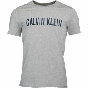 Calvin Klein S/S CREW NECK Pánské tričko, šedá, velikost