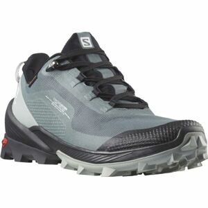 Salomon CROSS OVER GTX W Dámská turistická obuv, šedá, velikost 37 1/3