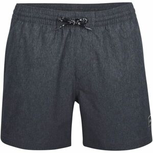 O'Neill FULL STRETCH SHORTS Pánské plavecké šortky, tmavě šedá, velikost L