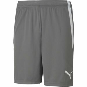 Puma TEAM LIGA SHORTS Pánské šortky, šedá, velikost S