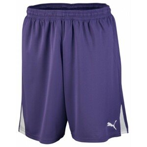Puma SHORTS TEAM W IS Pánské sportovní kraťasy, fialová, velikost XL