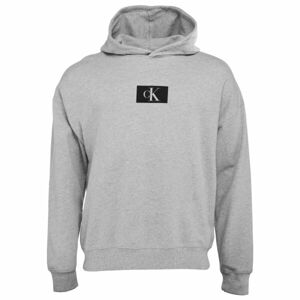 Calvin Klein ´96 TERRY LOUNGE-L/S HOODIE Pánská mikina, šedá, velikost L