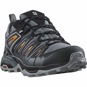 Salomon X ULTRA PIONEER GTX Pánská turistická obuv, šedá, velikost 46 2/3