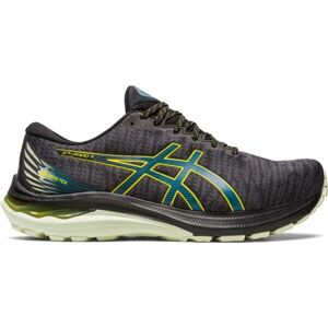 Asics GT-2000 11 GTX Pánská běžecká obuv, černá, velikost 44.5