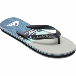 Quiksilver MOLOKAI PANEL Pánské žabky, modrá, velikost 43