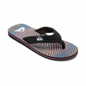 Quiksilver MOLOKAI LAYBACK II Pánské žabky, mix, velikost 43