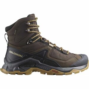 Salomon QUEST ELEMENT GTX Pánská kožená turistická obuv, hnědá, velikost 44 2/3