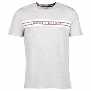 Tommy Hilfiger CLASSIC-CN SS TEE PRINT Pánské tričko, šedá, velikost L