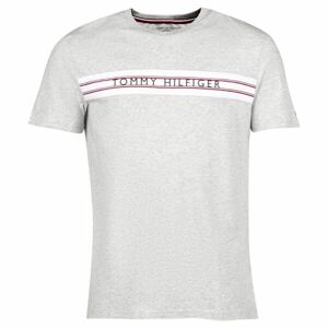 Tommy Hilfiger CLASSIC-CN SS TEE PRINT Pánské tričko, šedá, velikost S