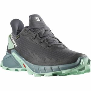 Salomon ALPHACROSS 4 GTX W Dámská trailová bota, šedá, velikost 37 1/3