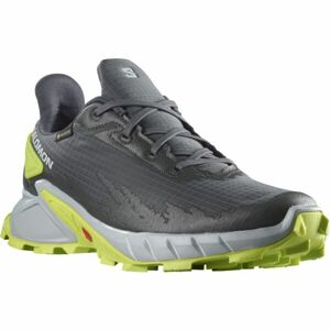 Salomon ALPHACROSS 4 GTX Pánská trailová bota, šedá, velikost 41 1/3