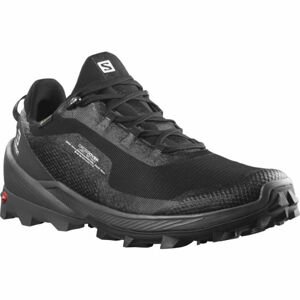 Salomon CROSS OVER GTX Pánská treková obuv, černá, velikost 41 1/3